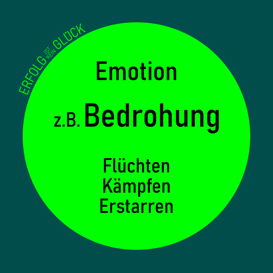 Flexibilität5