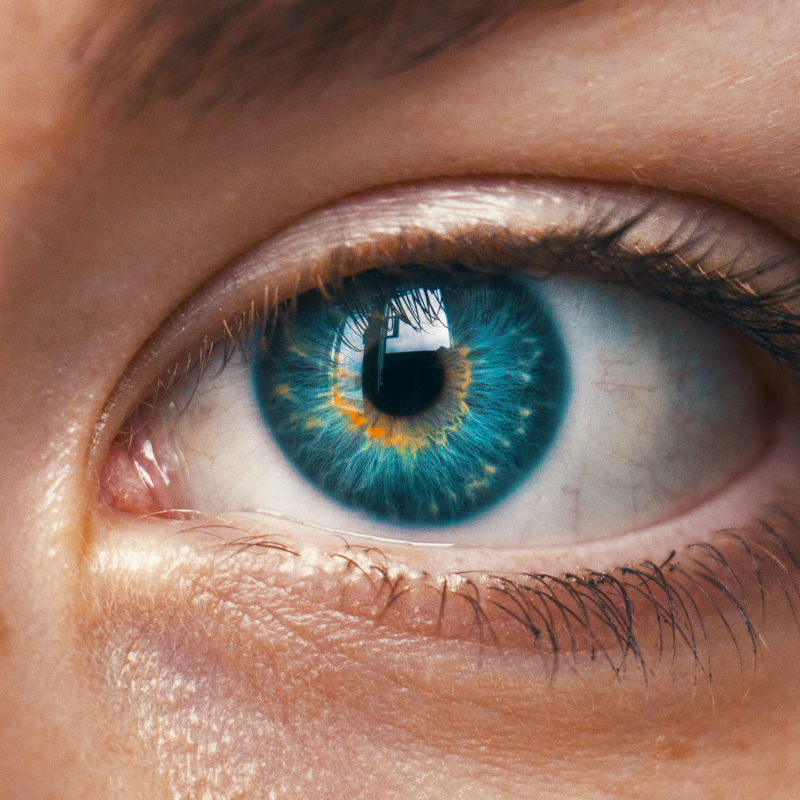 Sich zeigen, um gesehen zu werden!