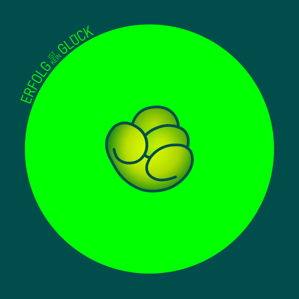 Die Faust von Sisu symbolisiert aktive Umsetzung, Handeln und wirksames Erreichen von Zielen.